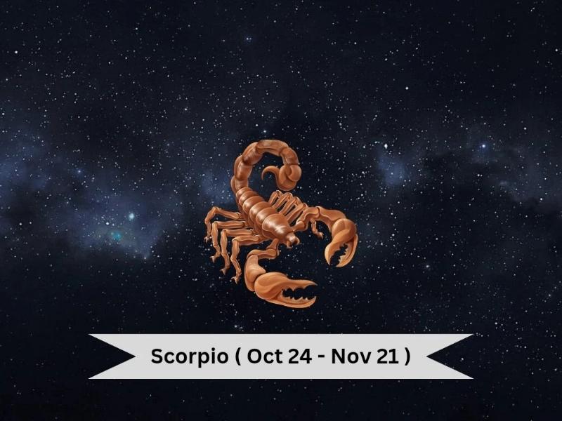 daily horoscope 29 october 2025 scorpio 