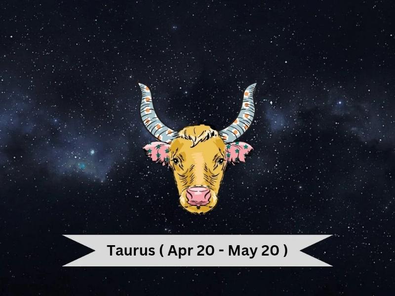 horoscope today 13 november 2025 taurus