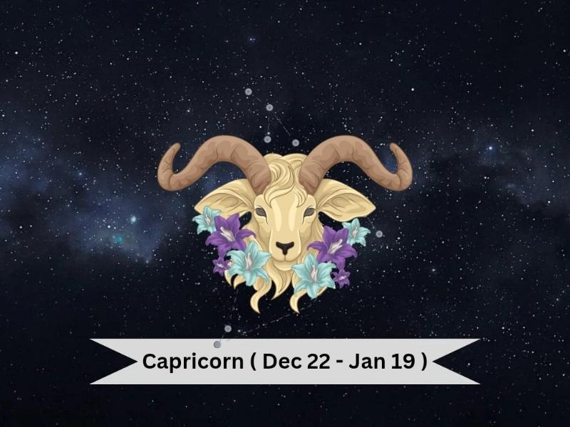 horoscope today 29 november 2025 capricorn 